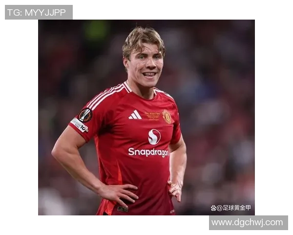 霍伊伦的传奇人生与不屈精神探索之旅